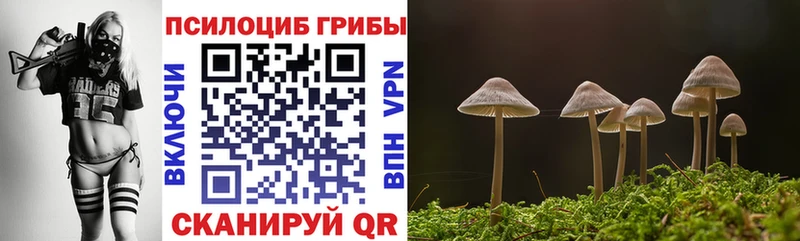 Галлюциногенные грибы мицелий  Белинский 